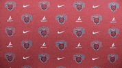 Softball Wildcats GIF by CWU Athletics