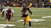 football GIF by University of Iowa Hawkeyes Athletics