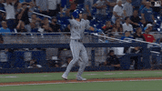 Excited Ny Mets GIF by New York Mets