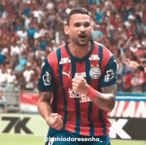 Bahiadaresenha GIF