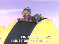 Pinch Me Angry Beavers GIF by NickRewind