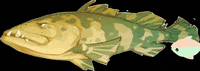 pixmain green eyes teeth wiggle GIF