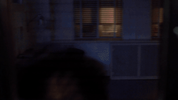 scully mulder GIF by The X-Files