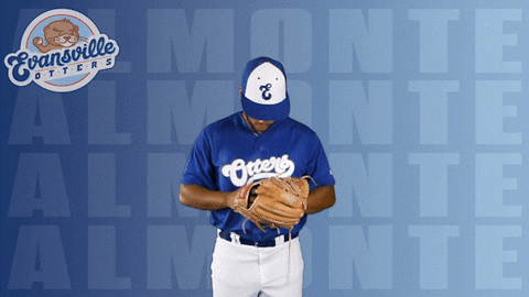 Abraham Almonte Baseball GIF by Evansville Otters