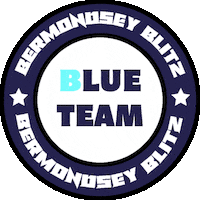 Blue Team Blitz Sticker by F45 Bermondsey