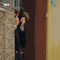 Top Secret Omg GIF by TRT