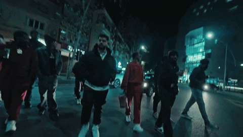 Eagle Albania GIF by D-Block Europe