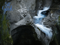 Mbe Mail Boxes Etc Erfahrungen GIF by FranchiseONE.de