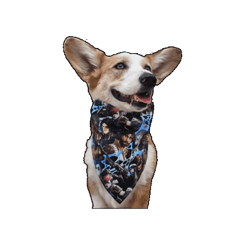 Corgi Lol Sticker by Geekster Pets