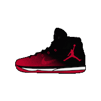 Air Jordan Sticker by jumpman23