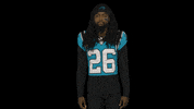 North Carolina Idk GIF by Carolina Panthers