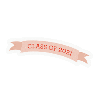Class Of 2021 Sticker by Jillianharris