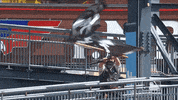 GIF by MLB