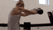 holly holm GIF