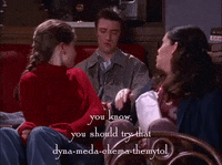 season 1 netflix GIF by Gilmore Girls 