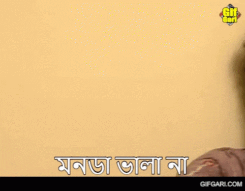 BengalBeats giphyupload GIF