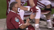 High Five College Football GIF by Arkansas Razorbacks