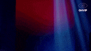 Granhermanovip GIF by Mediaset España