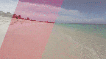 IslandGuideTV caribbean aruba island guide tv island guide GIF
