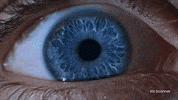 GIF by MAGTICOM