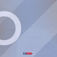 Goal Epl GIF by skysports