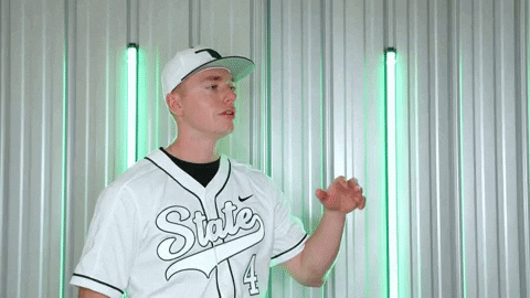 Baseball Nsu GIF by RiverHawk Sports