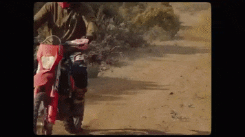 Life Bike GIF by WIESEMANN 1893