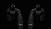 video art monkey GIF by limeartgroup