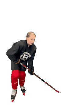 Hockey Sticker by ledoritulys.lt