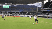 botafogo futebol e regatas GIF by Botafogo