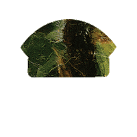 Sementes Agroeste Sticker by Agro Bayer