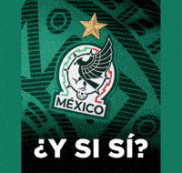 World Cup Mexico GIF