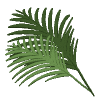 Palm Sunday Beach Sticker by Demic