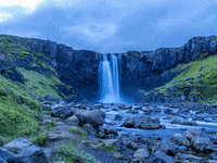 GIF by FranchiseONE.de