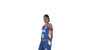 Tiffany Hayes Cbk Sticker by cukurovabasket