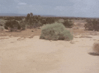Cri Cri Cri Silence GIF by DJ CHIMO BAYO