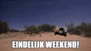 love it lol GIF by Tim Coronel