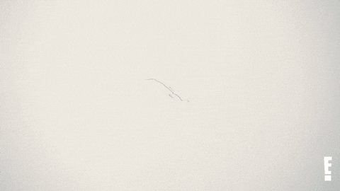 Keeping Up With The Kardashians Kardashian GIF by E!