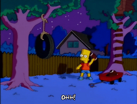 bart simpson episode 6 GIF