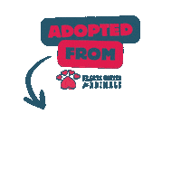 AriHUA adopted going home hua just adopted Sticker
