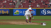 Regular Season Sport GIF by MLB