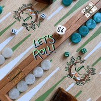 ninefairbackgammon backgammon GIF