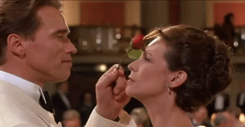 true lies tango GIF
