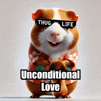 Cat Love GIF by Guinea Gambino