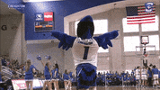 Billy Bluejay GIF by Creighton University Athletics