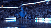Billy Bluejay GIF by Creighton University Athletics
