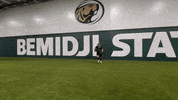 Bsubeaversfb GIF by Bemidji State Beavers