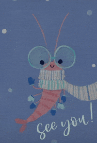 See You Shrimp GIF