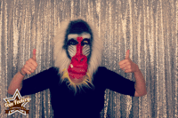 fun wedding GIF by Tom Foolery Photo Booth