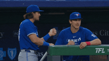 Blue Jays Baseball GIF by Toronto Blue Jays